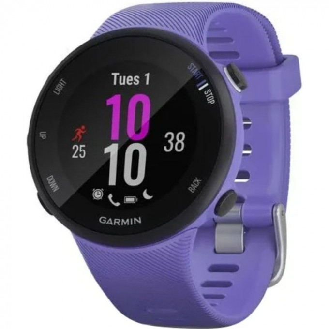 Часы GARMIN FORERUNNER 45s Ирис 010-02156-11